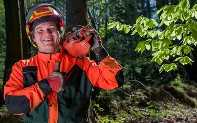 Why Should You Hire a Certified Arborist?