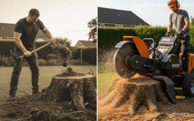 Why Are Stump Grinders Better Than Manual Removal?